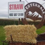 Feed and Straw